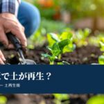 プランター土再生に石灰は必須！正しい使い方と効果的な再利用法