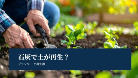 プランター土再生に石灰は必須！正しい使い方と効果的な再利用法