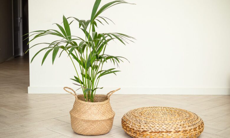 鉢植え 雨よけ DIYに使える便利グッズ一覧